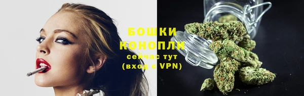дживик Богородицк