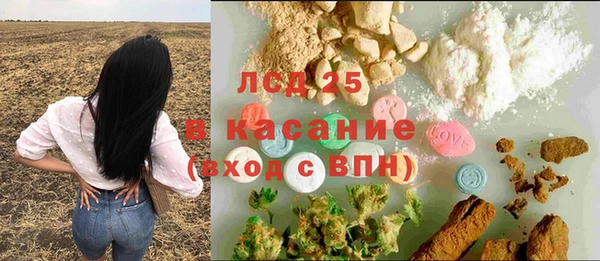 дживик Богородицк