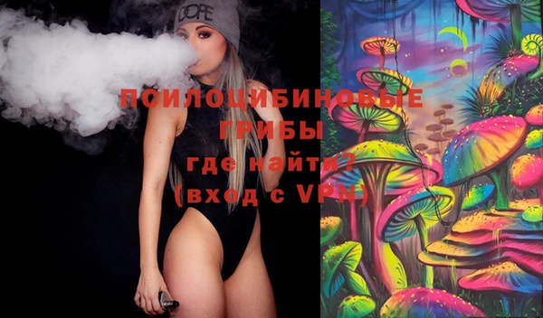 дживик Богородицк