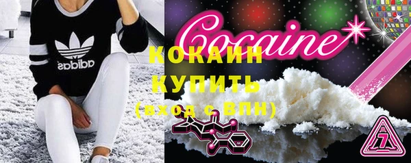 дживик Богородицк