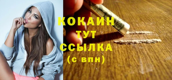 дживик Богородицк