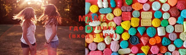 дживик Богородицк