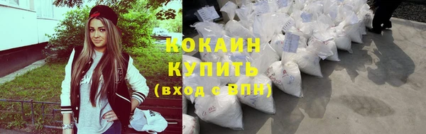 дживик Богородицк